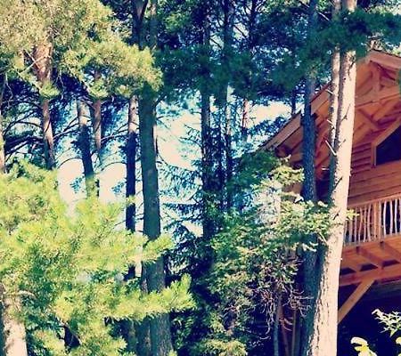 Les Cabanes Des Pins Sylvestres Saint-Martin-Vésubie Exteriér fotografie