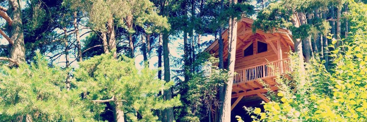 Les Cabanes Des Pins Sylvestres Saint-Martin-Vésubie Exteriér fotografie