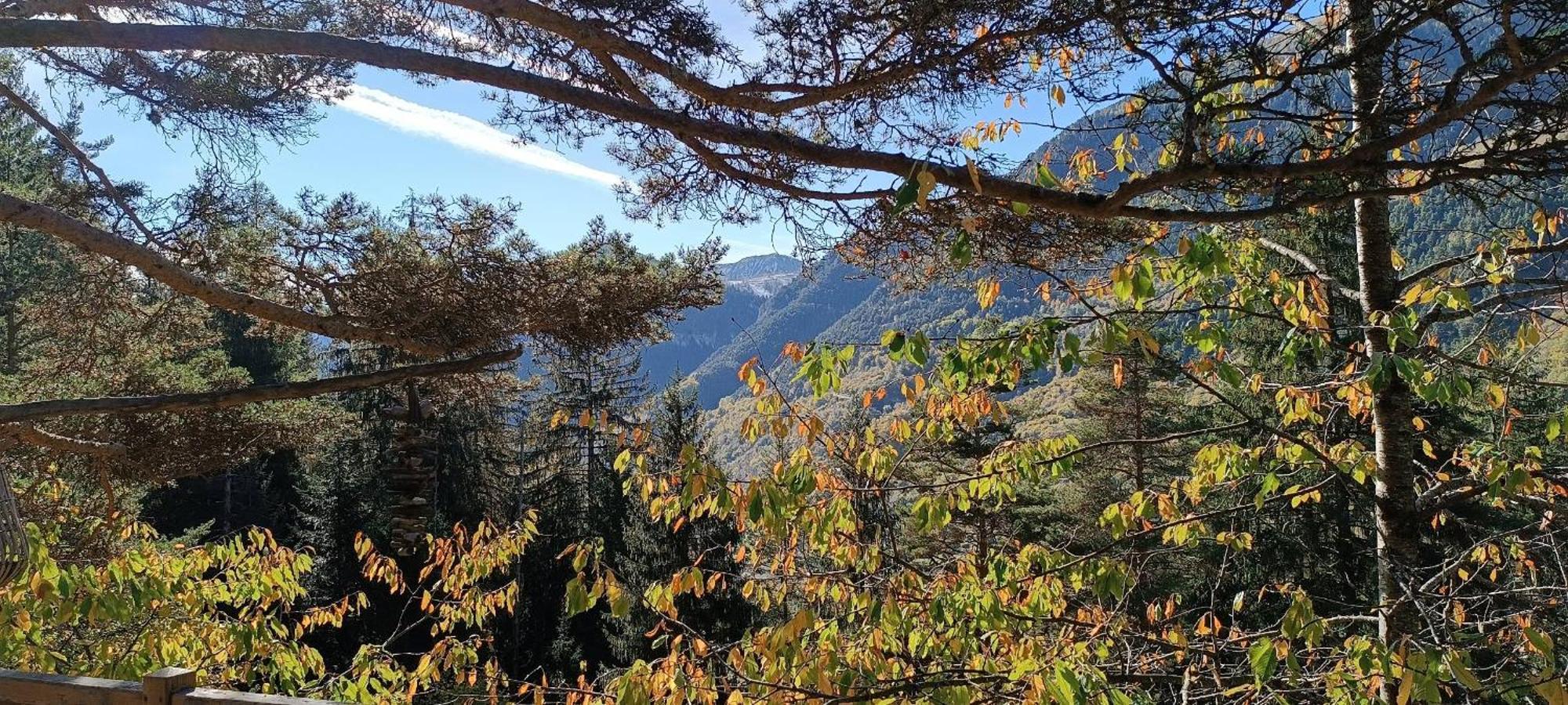 Les Cabanes Des Pins Sylvestres Saint-Martin-Vésubie Exteriér fotografie